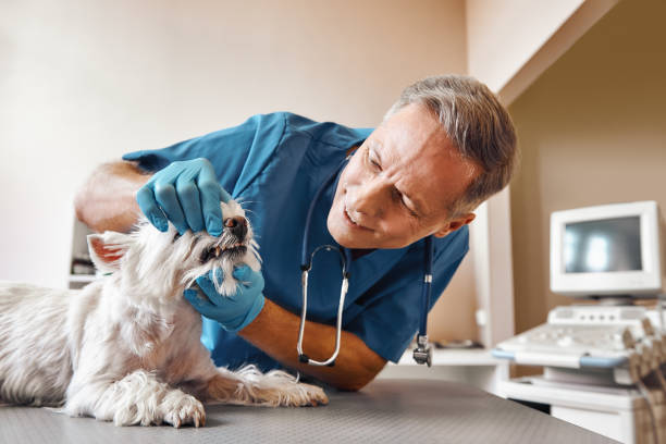 Best After-Hours Dental Care in Eastpoint, FL